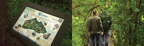 a plaque with a map and students walking through trees