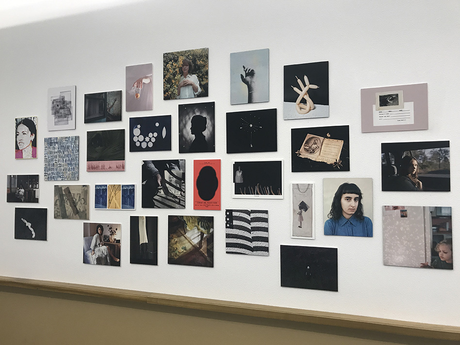 Yellow Rose Exhibition
