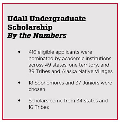 udall-scholarship-by-the-numbers.jpg